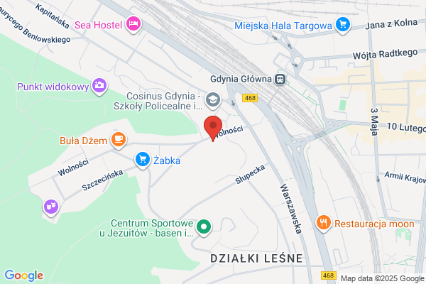 Mimikra.pl. Pawlicki P.