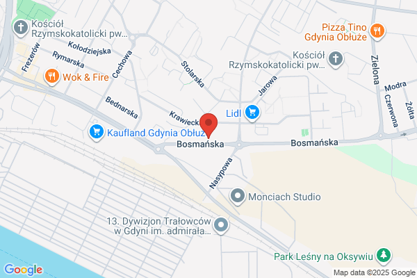 Auto Jan. Mechanika i elektromechanika pojazdowa, uklady wydechowe. Cieszynski J.