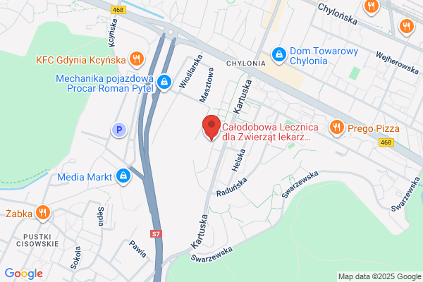 Amicis. Calodobowa lecznica weterynaryjna