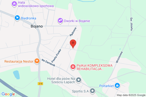 Video-Wspomnienia. Wideofilmowanie. Wideoreportaze. Przegrywanie