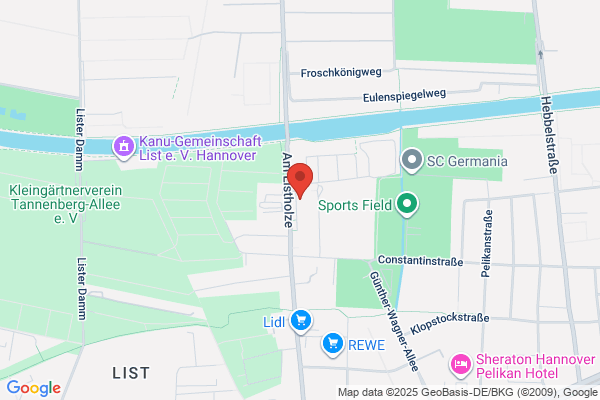 Hornet Security Systems. Szerszen L.