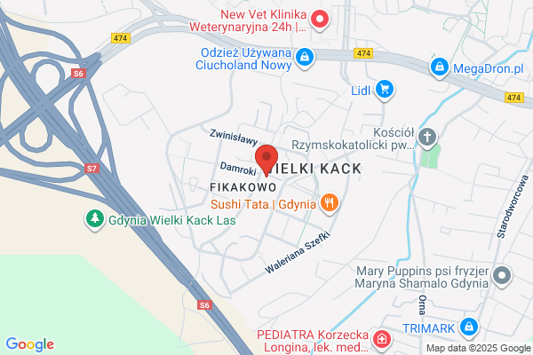 Mój Pies. Strzyzenie i pielegnacja psów. Marciniak W.