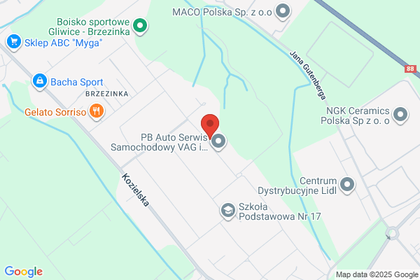 Elsygna. Alarmy. Frycz S.