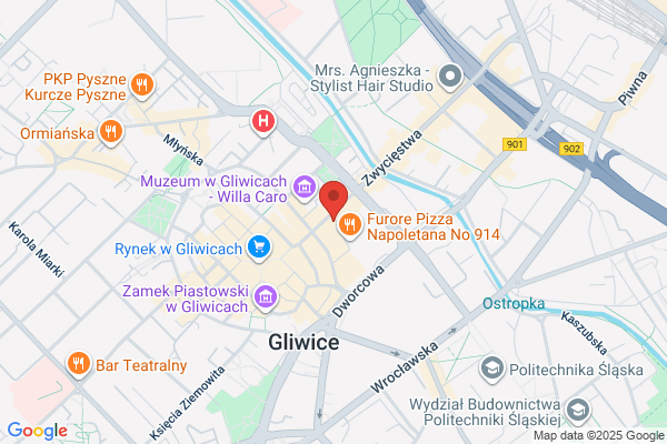 Seguro Elektronik. Pieszczek M.