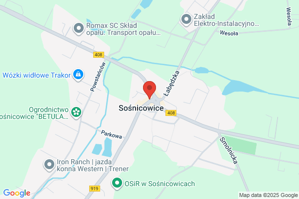 Joanna. Zaklad zlotniczy. Czarneccy J.Z.