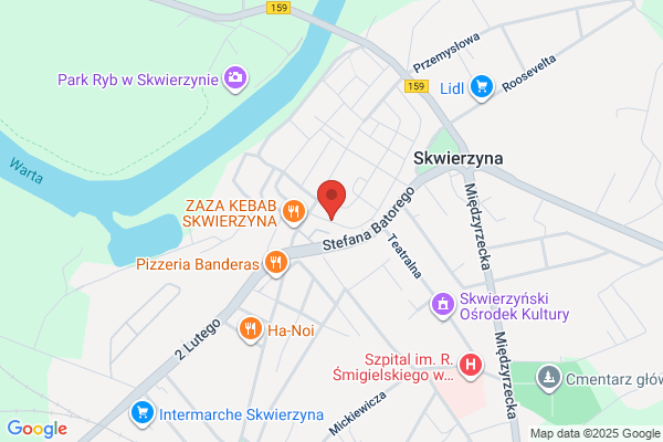 Lis. Studio komputerowe