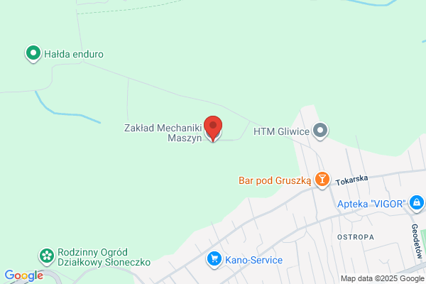 Biegaj Grzegorz. Zaklad mechaniki maszyn