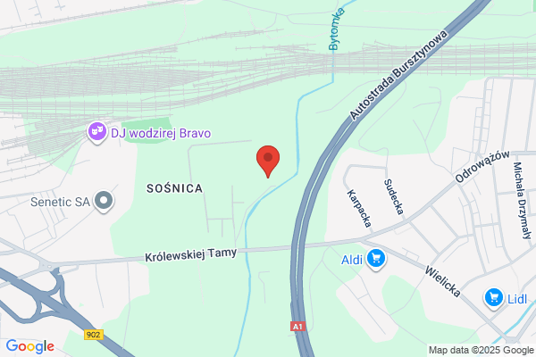 Luczko. PPU