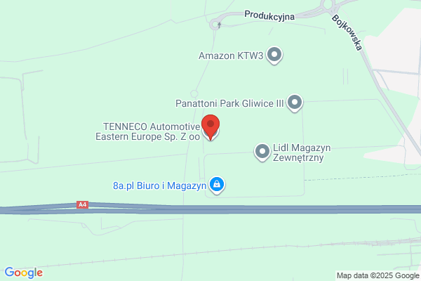 Tenneco. Sp. z o.o. Automotive Eastern Europe