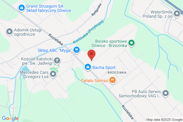 Cobra. FHU. Strózynska A.