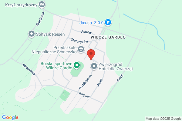 Szkola Podstawowa nr 2