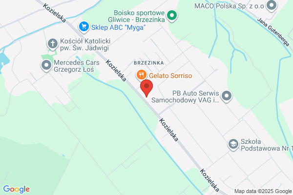 Kamko SC. Kolinski S., Kolinski A., Kaminska J., Kolinski D.