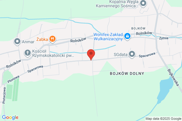 Trans-Rotondo. Uslugi maszynami budowlanymi