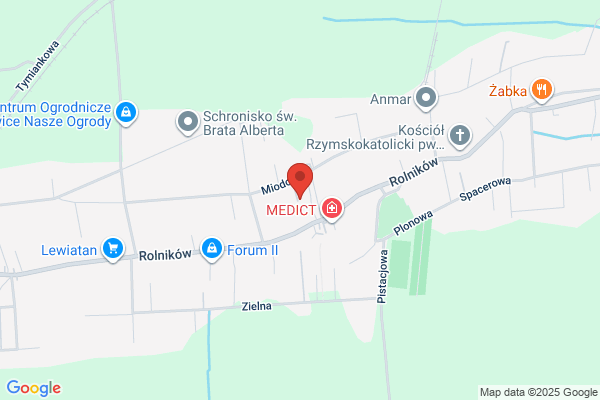 Uslugi transportowe. Piechnik Tadeusz