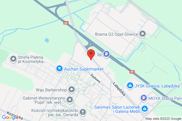 Tenso Flintec Polska. Rudzki Teodor