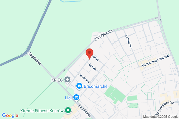 Dlugosz. PPHU. Dlugosz J.