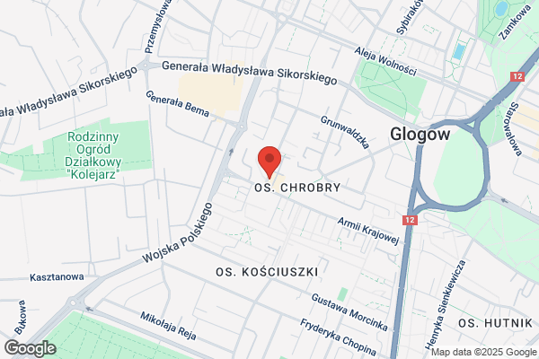 Multiagencja. Wolkowski L.
