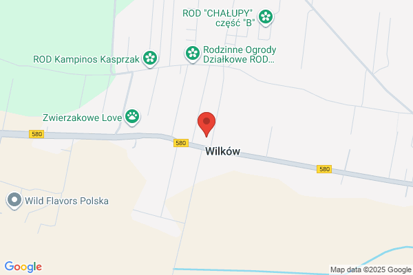 Chwila Wieslawa. Komis