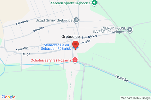 Benzo. Preda T.