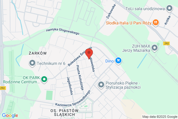Trzeszcz Jerzy. Czyszczenie dywanów, wykladzin i tapicerki samochodowej