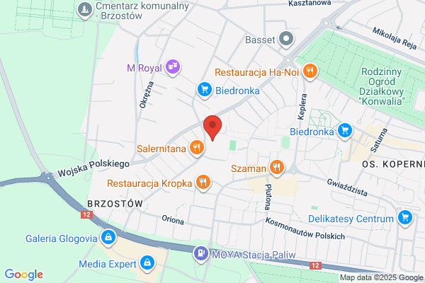 Przedszkole nr 9 Publiczne