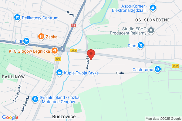 Moto-Diagnoza. Diagnostyka silników benzynowych. Sewastianowicz C.
