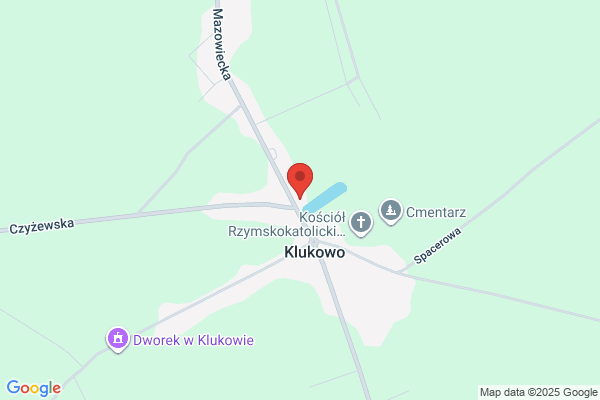 Dabrowski K. Wulkanizacja i mechanika pojazdowa
