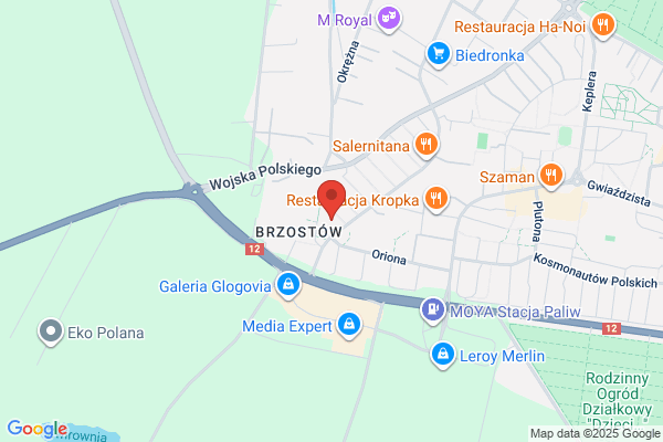 Project Garden. Projektowanie i pielegnacja ogrodów. Pyk M.