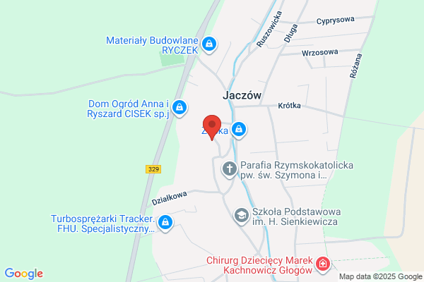 Transman-Bis. S.j. Krajowy i miedzynarodowy transport drogowy