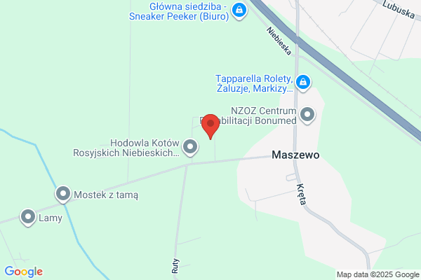 Foltynski Piotr. Uslugi geodezyjne