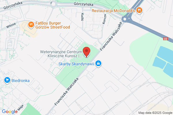 Cztery Lapy. Lecznica weterynaryjna. Kurosz B.