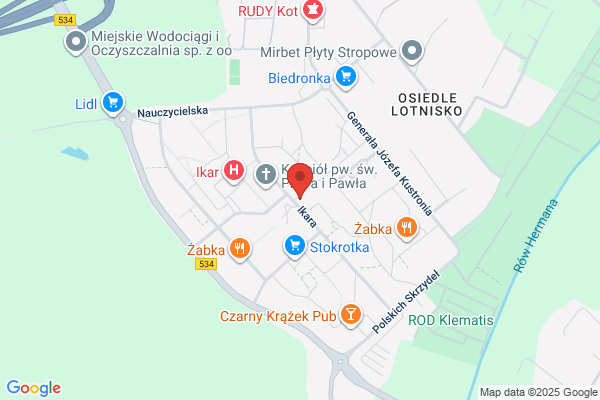 Storczyk. Kwiaciarnia. Badach-Czechowska B.