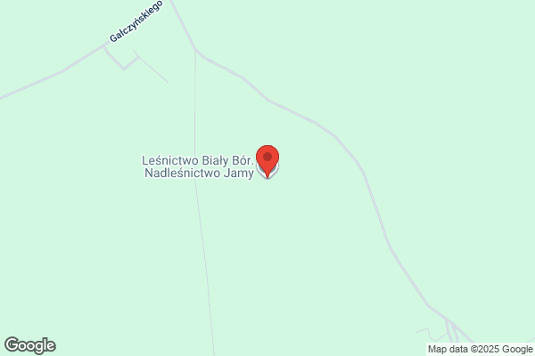 Lesnictwo Bialy Bór. Nadlesnictwo Jamy