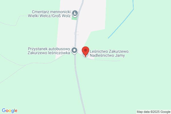 Lesnictwo Zakurzewo. Nadlesnictwo Jamy