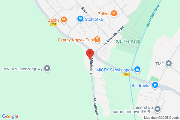 Witek Józef. Lakiernictwo samochodowe