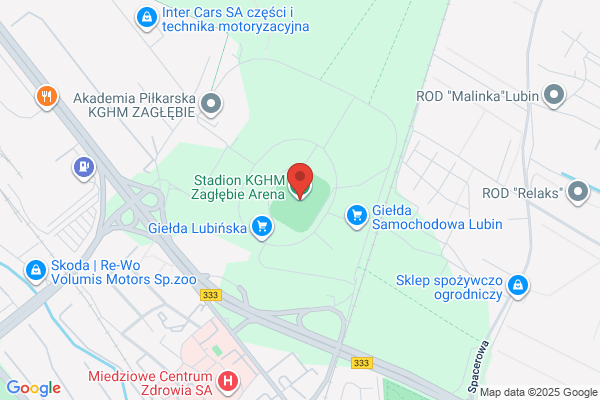 Zaglebie. Miedzyzakladowy Klub Sportowy