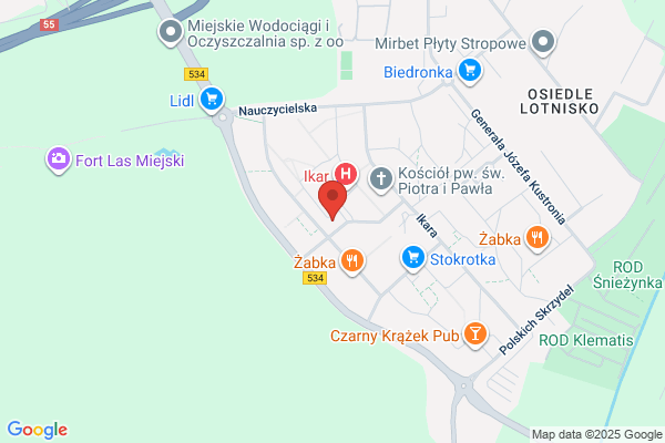 Bandurski Pawel. Transport samochodowy, wywrotki, dluzyce