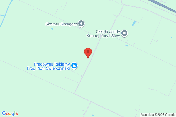 Zawislak Przemyslaw. Transport krajowy i miedzynarodowy