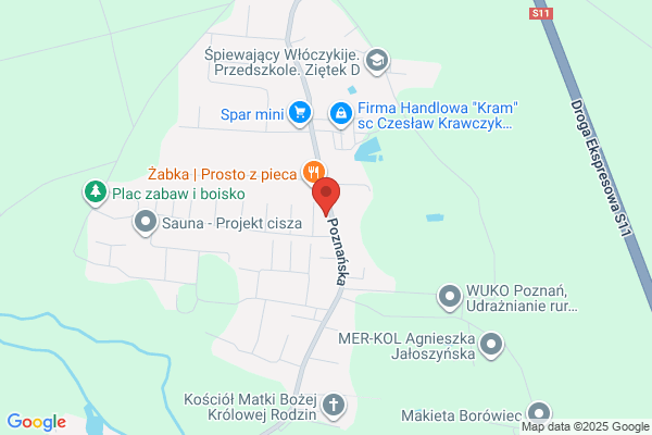 Juniperus SC. Centrum ogrodnicze. Projektowanie i zakladanie ogrodów