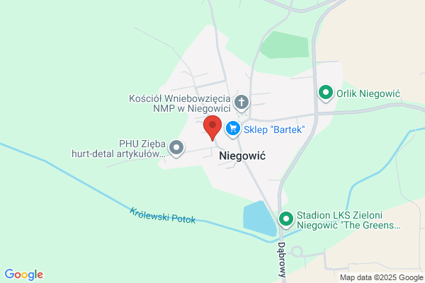 Niepubliczny Zaklad Opieki Zdrowotnej