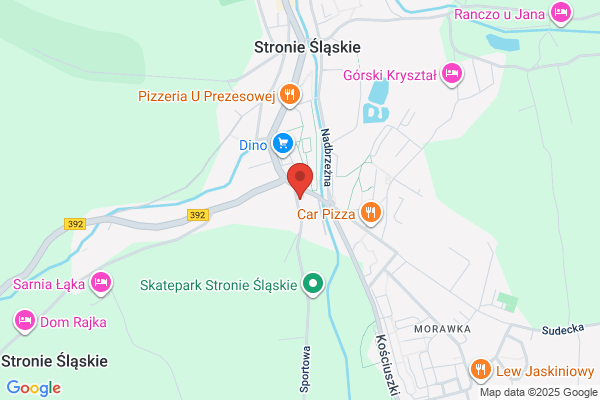 Dalia. Kwiaciarnia. Adamczyk M.