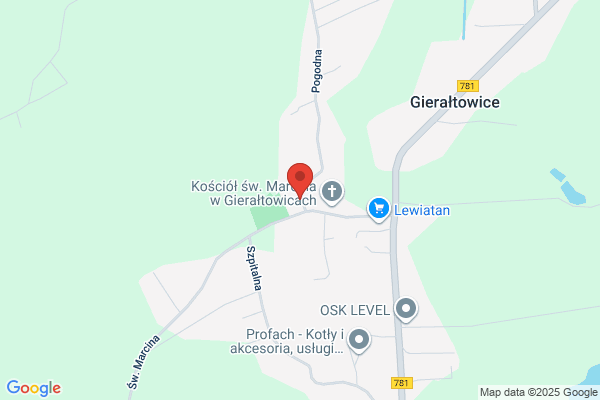 Drabiniok Celina. Zaklad fryzjerski