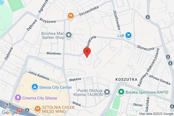 Lenex.Transport samochodów z zagranicy. Pomoc drogowa