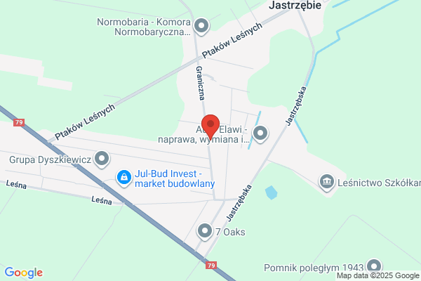 Drzewiecki Slawomir. Slusarstwo, automatyka bram, ogrodzenia