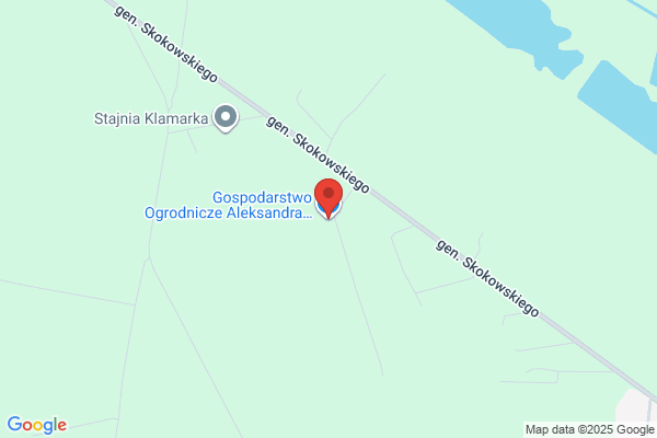Oprzedek Anna. Gospodarstwo ogrodniczo - hodowlane