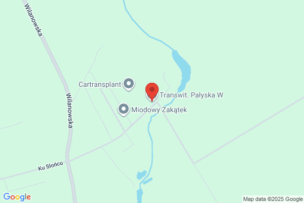 Transwit. Palyska W.
