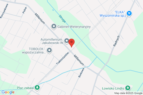 Wynajem- Wypożyczalnia- Aut- Transport- Spedycja