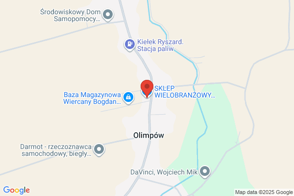 Karina. FHU. Sklep wielobranzowy. Lewicki L.