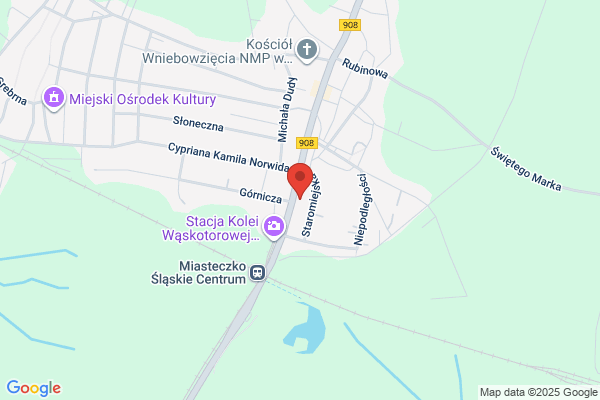 Zgromadzenie zakonne Sióstr Sluzebniczek NMP