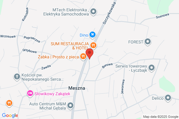 Geoida. Pracownia geodezyjna. Wrona M., mgr. inz.